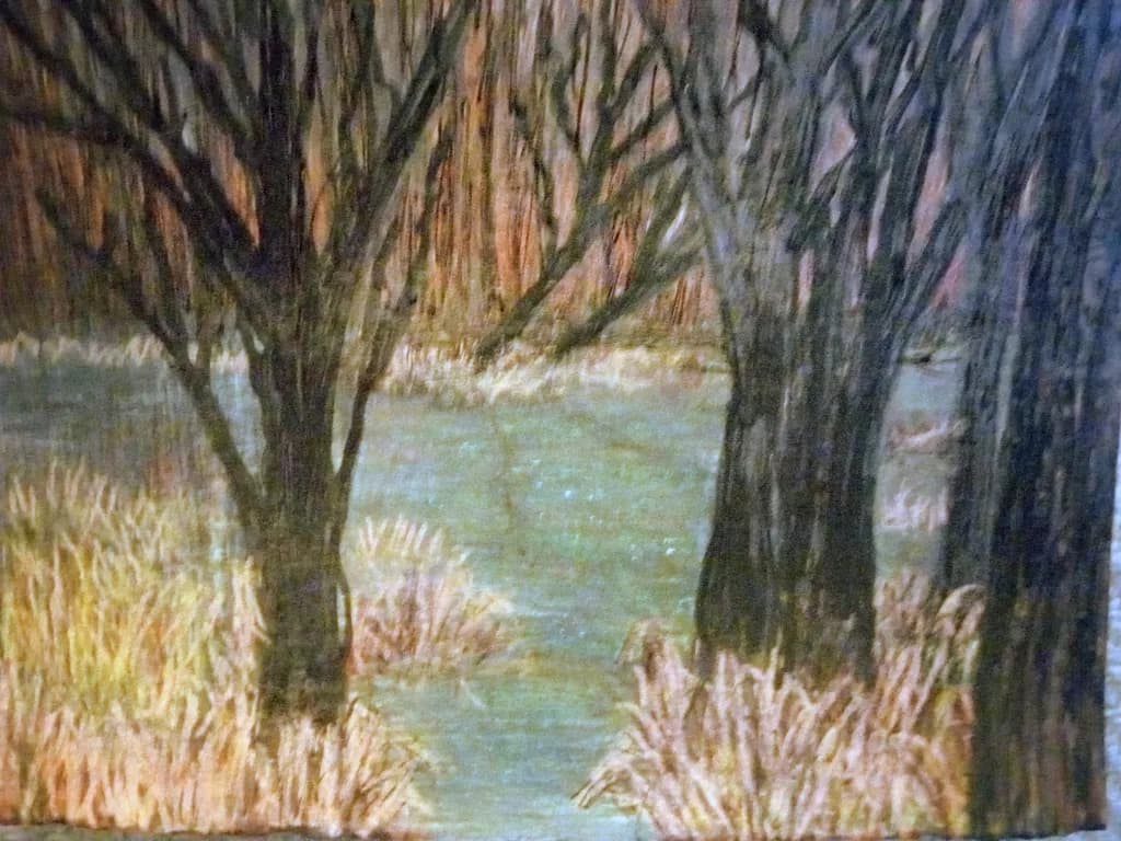 Autumn Riverbank