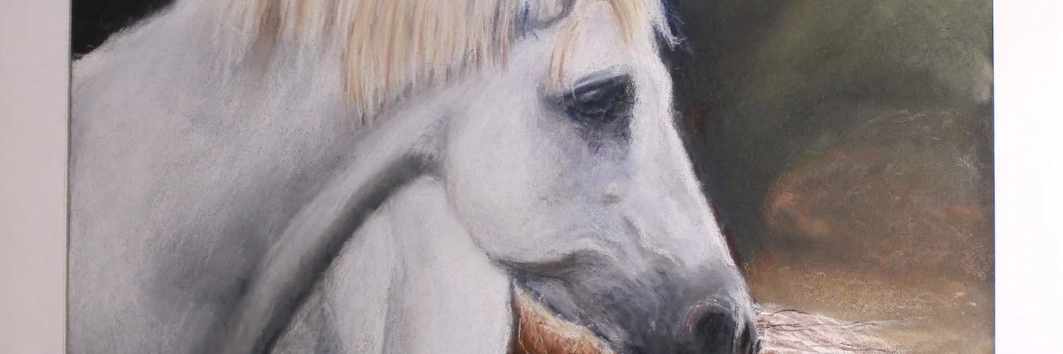 Banner del perfil