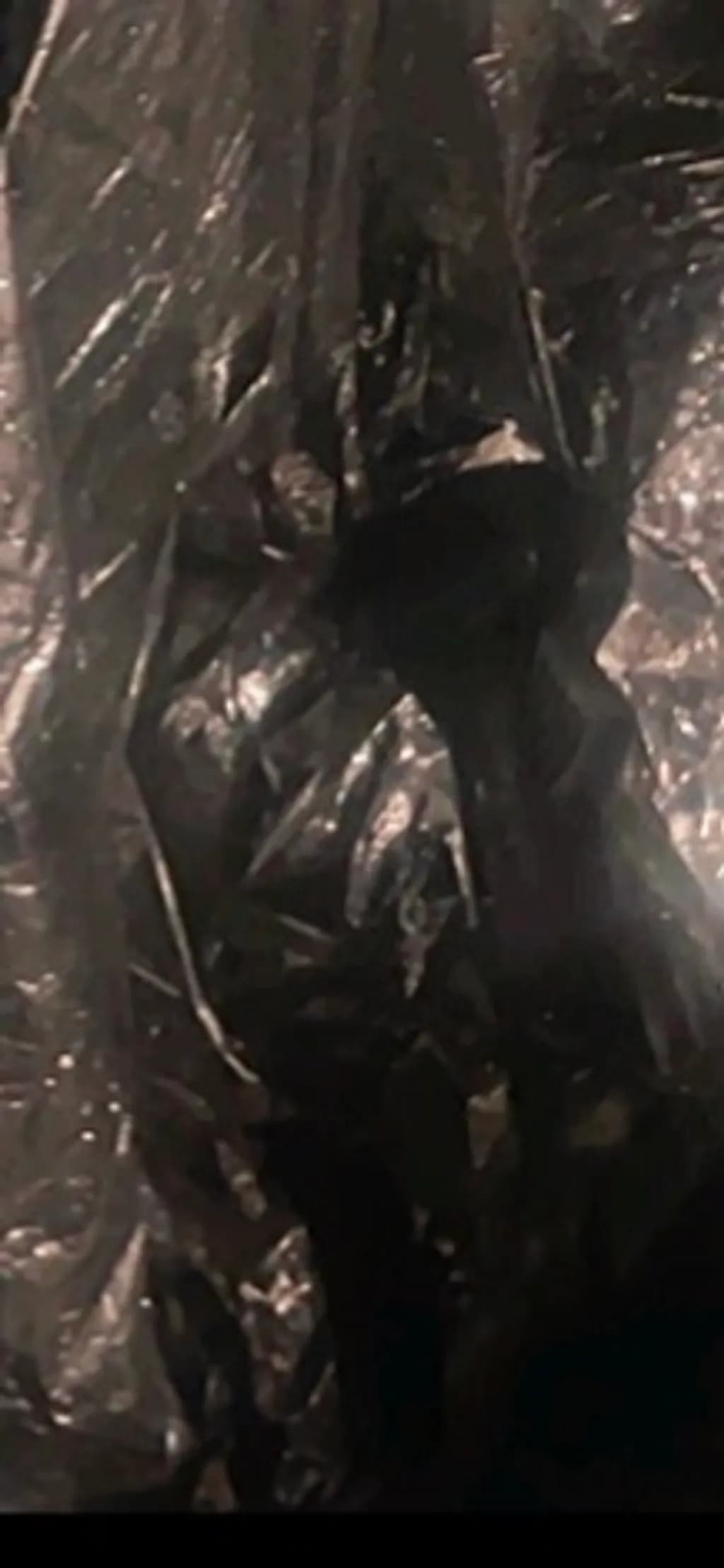 Metallic Abyss