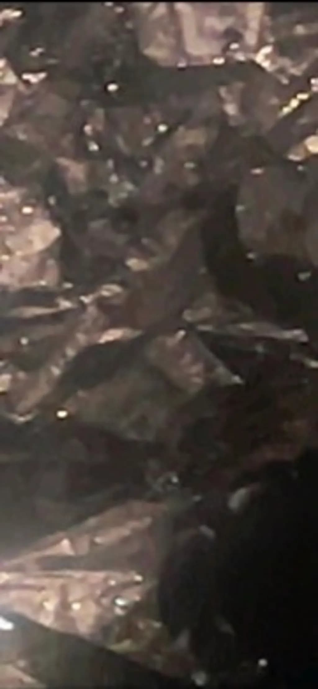 Obsidian Fracture