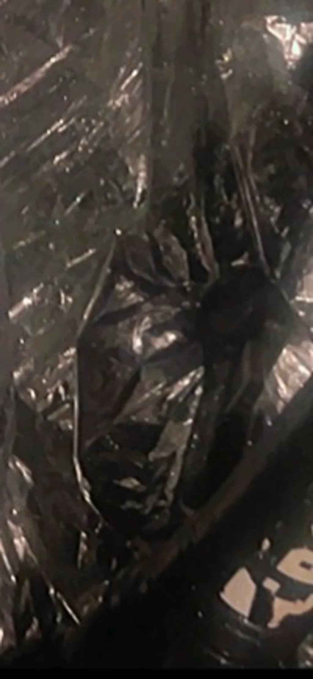 Reflective Shards