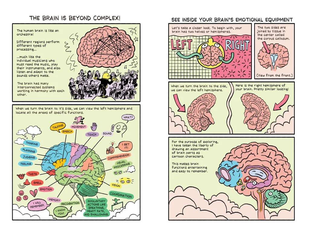 About Brain