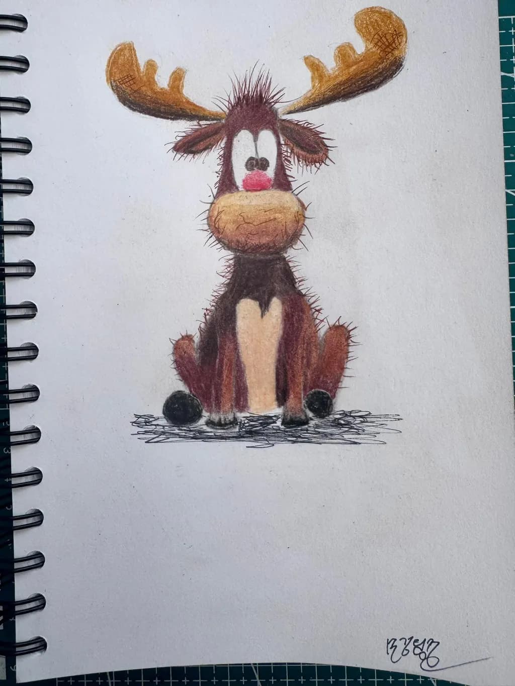 Puzzled Moose