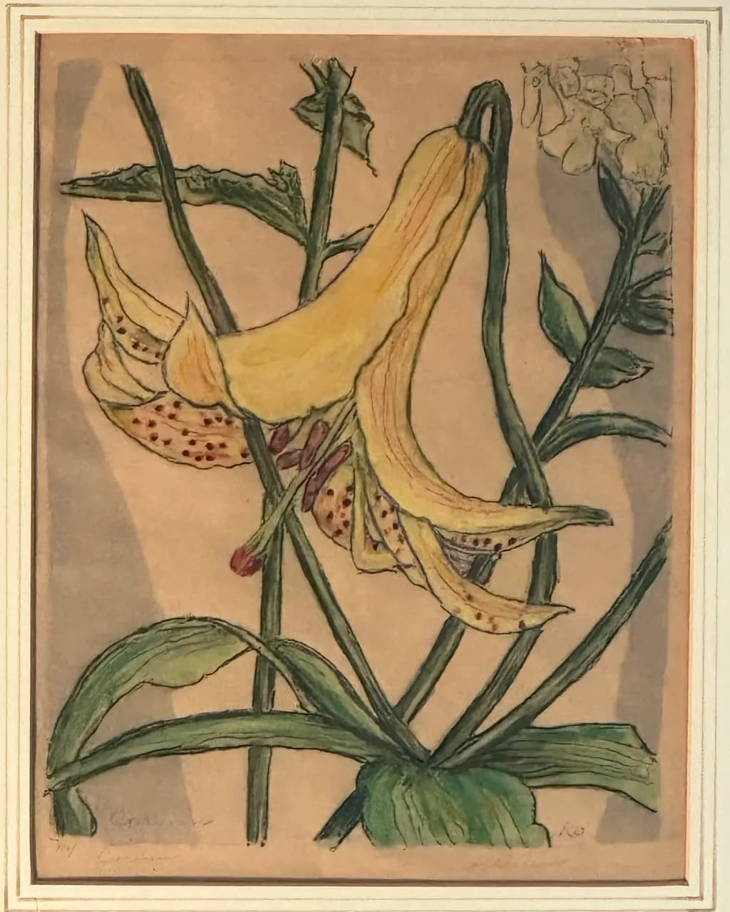 Yellow Lily Study