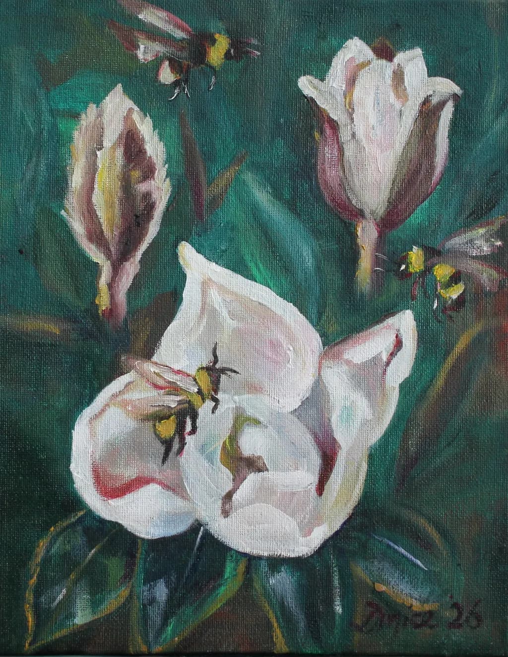 The Promise of Spring Flowers