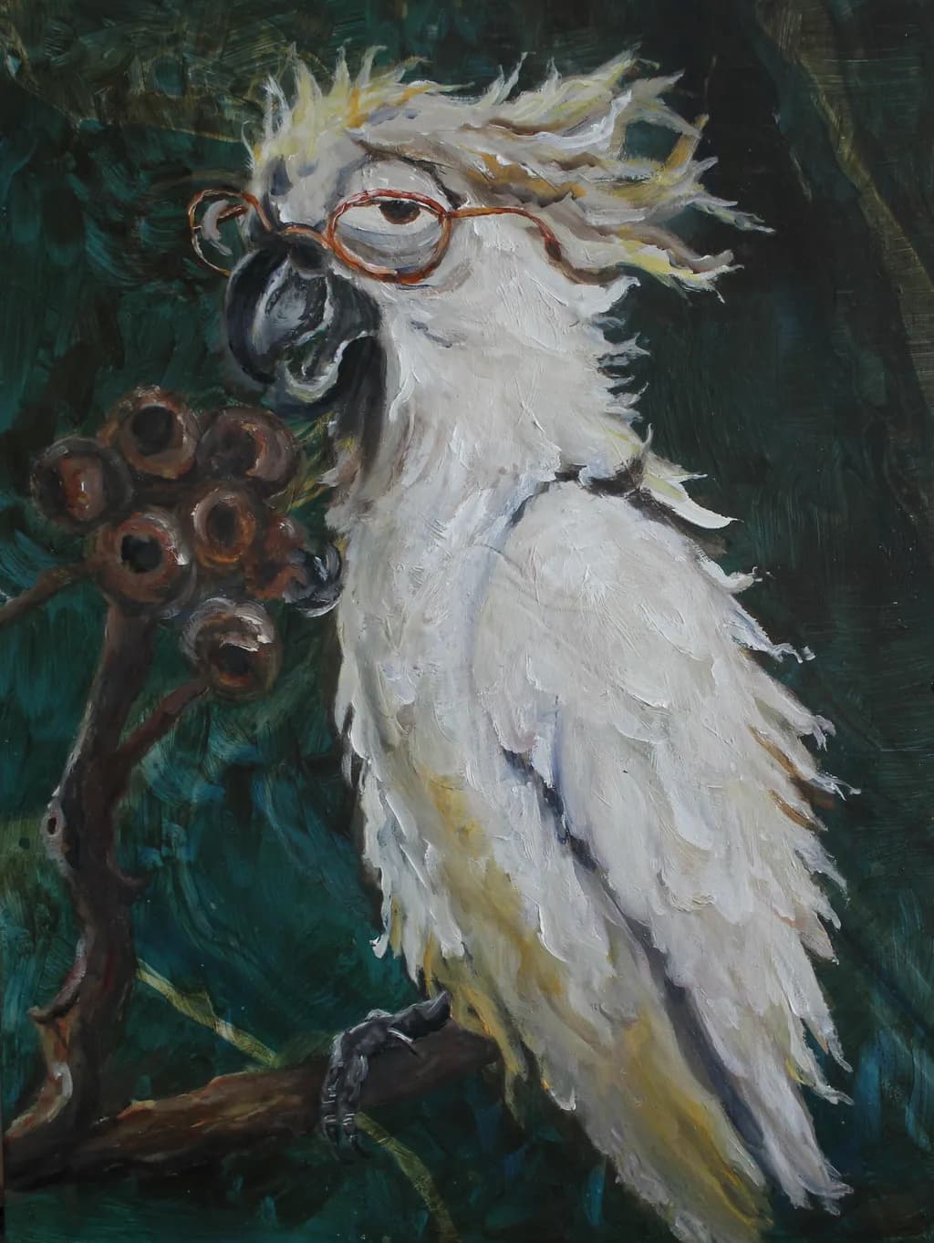 Wise Old Cocky