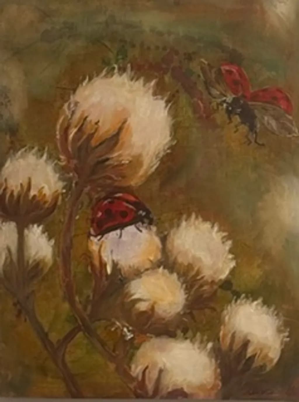 Scarlet Visitors