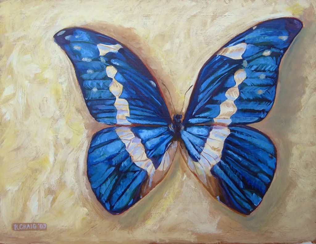 Blue Morpho