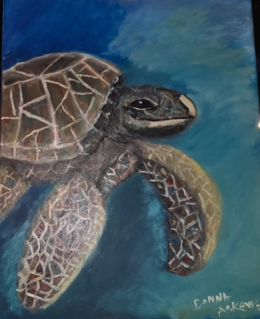 Geometric Turtle