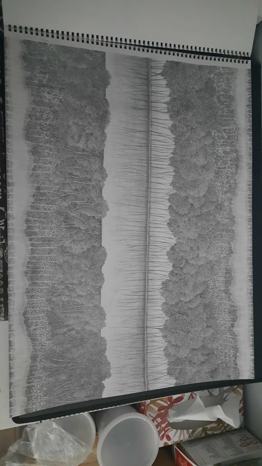 Forest Divide