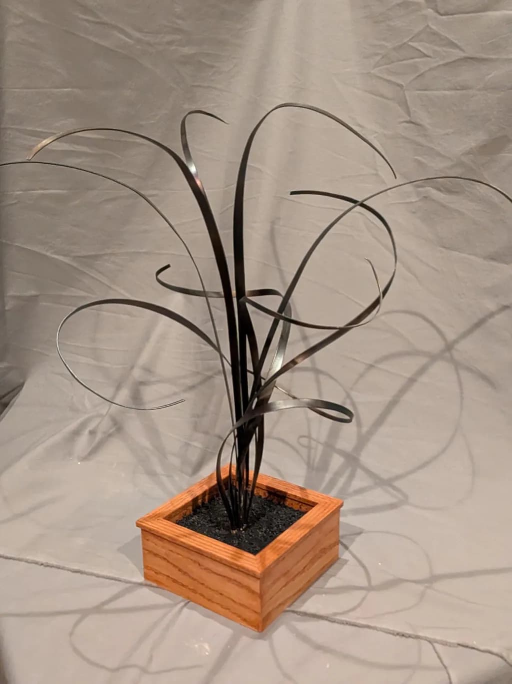 Curved Steel Bloom