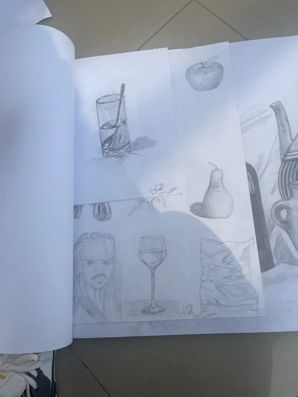 Pencil Still Life Studies