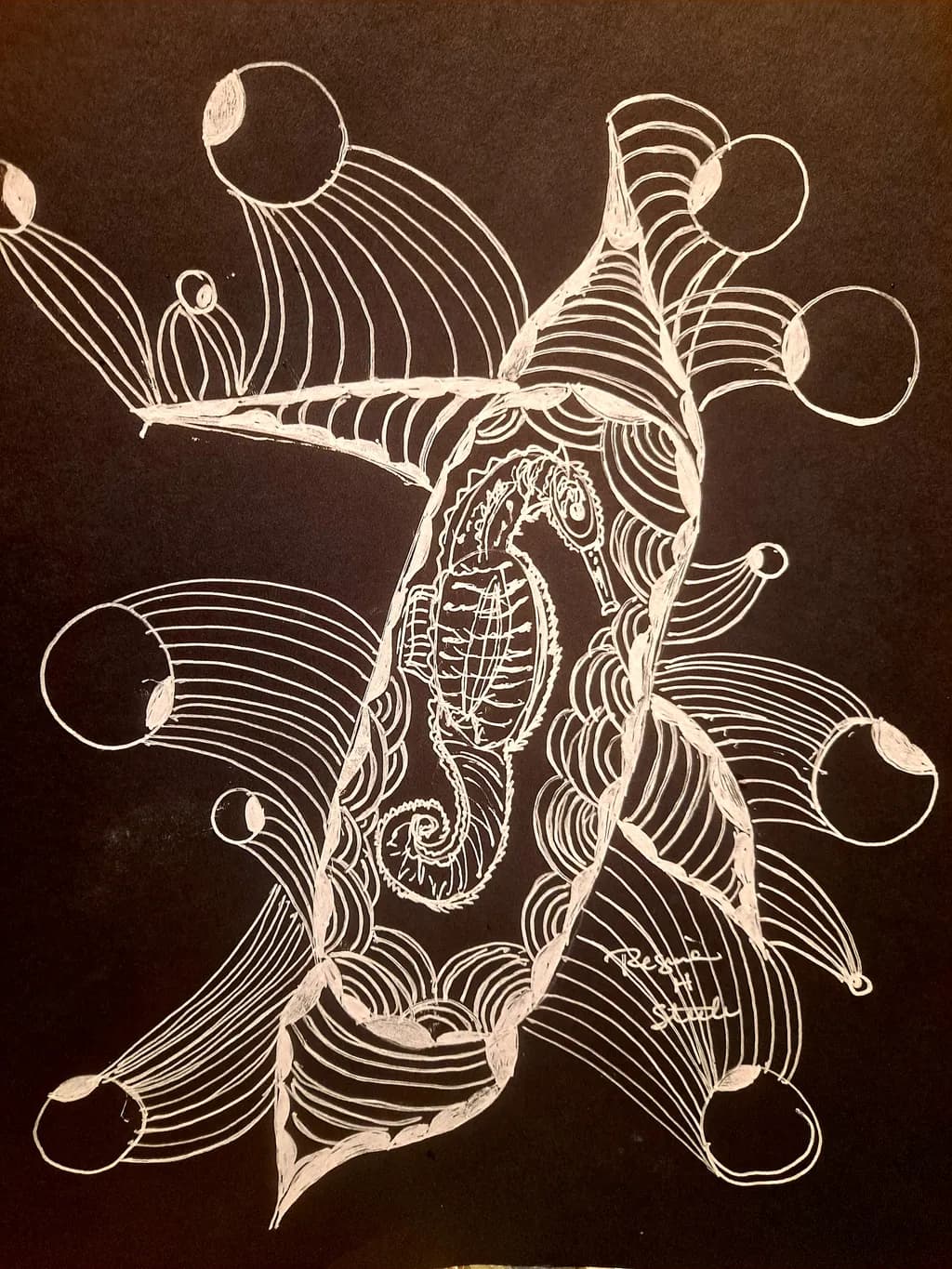 Seahorse Flow