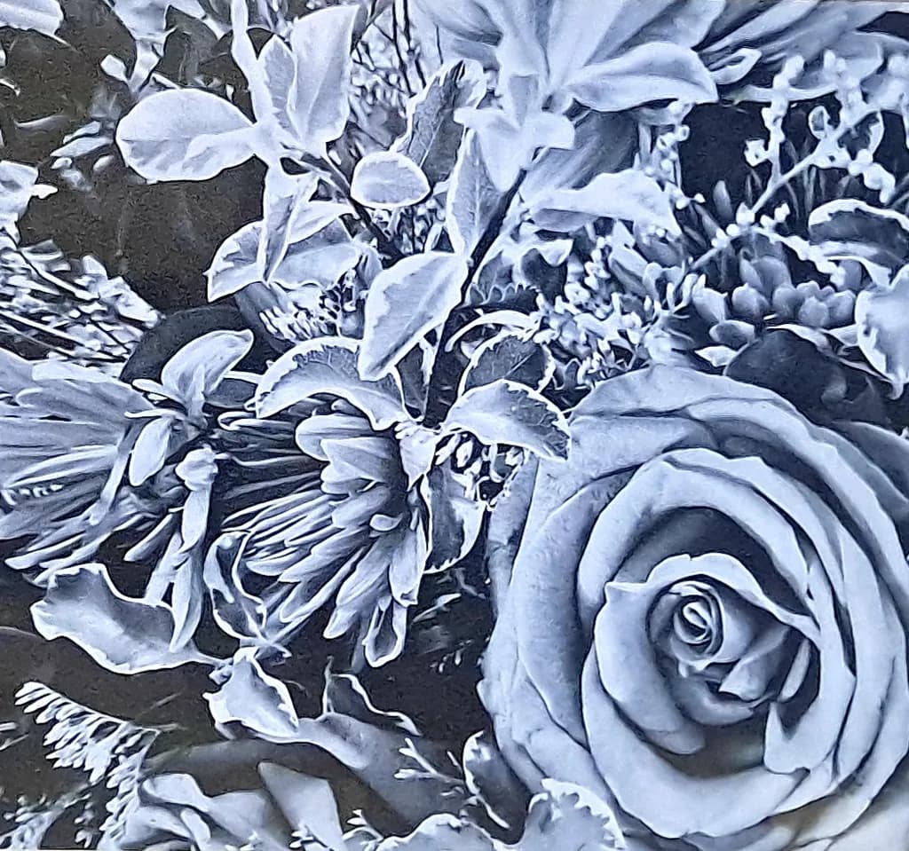 Monochrome Bloom