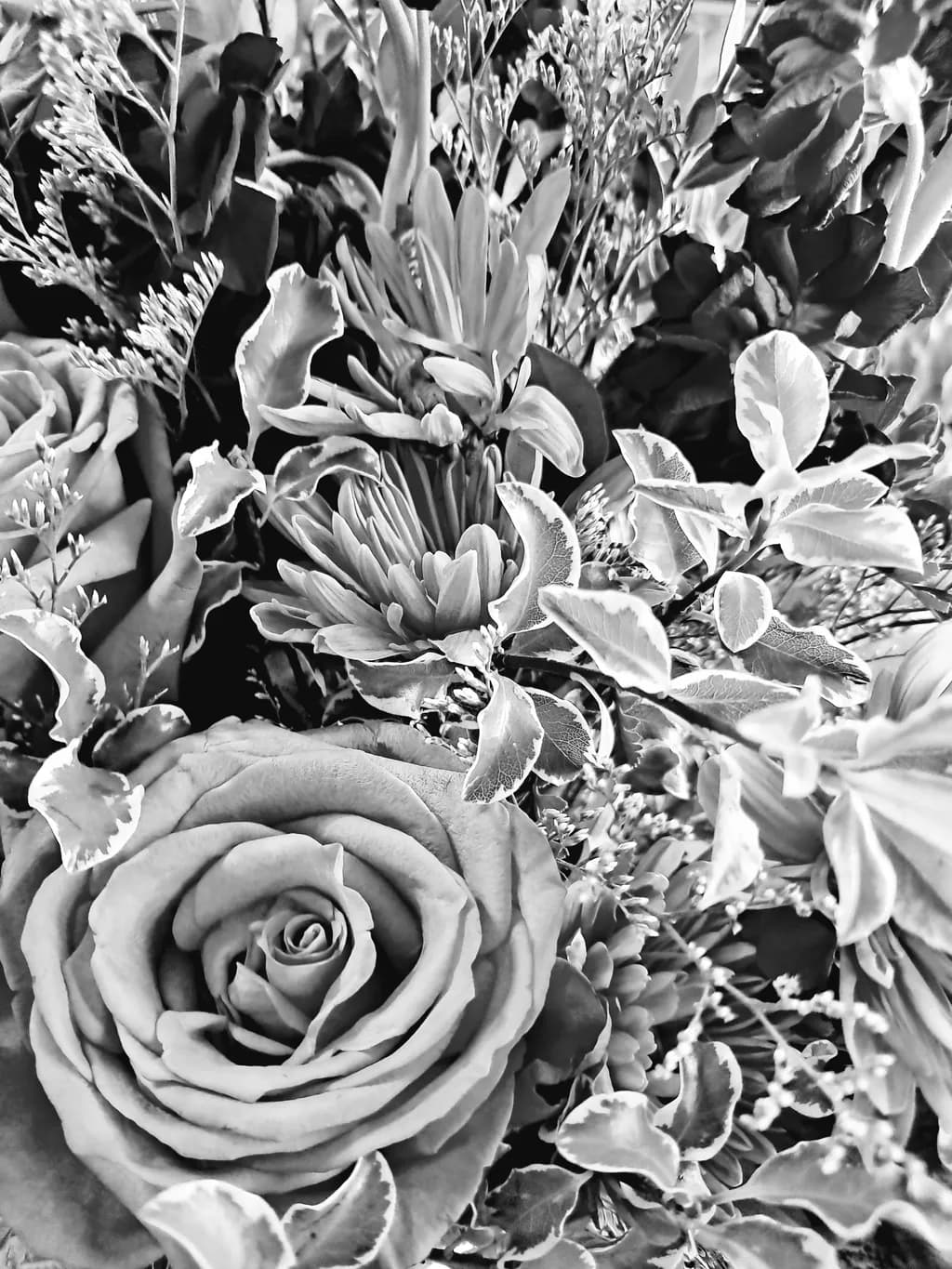Monochrome Blooms