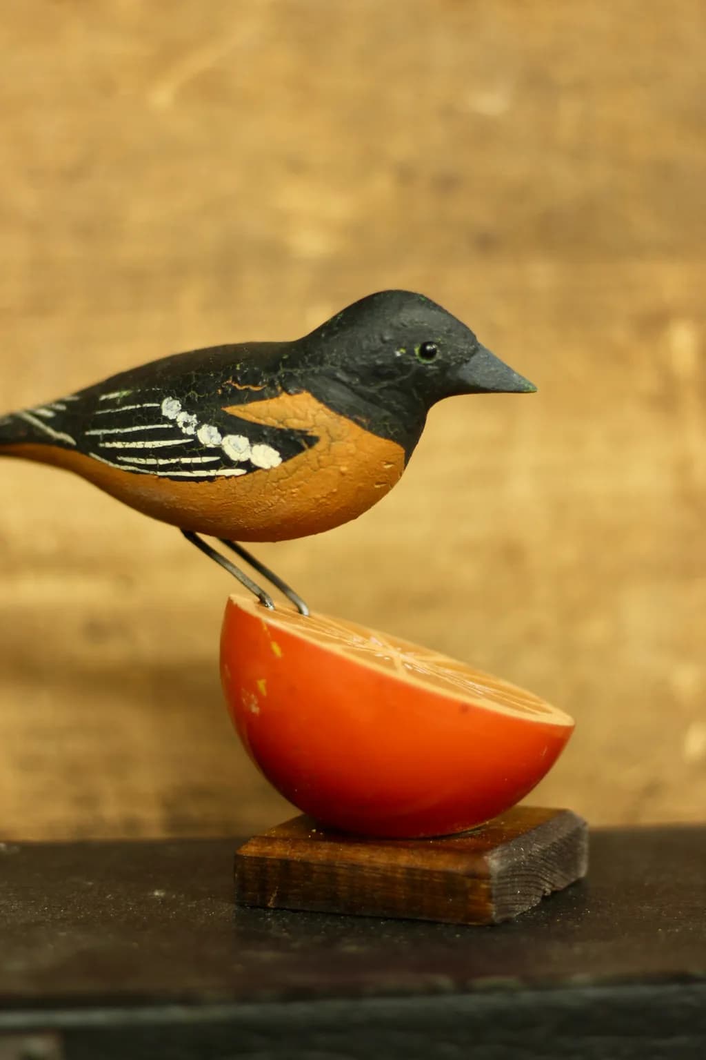 Oriole on Citrus