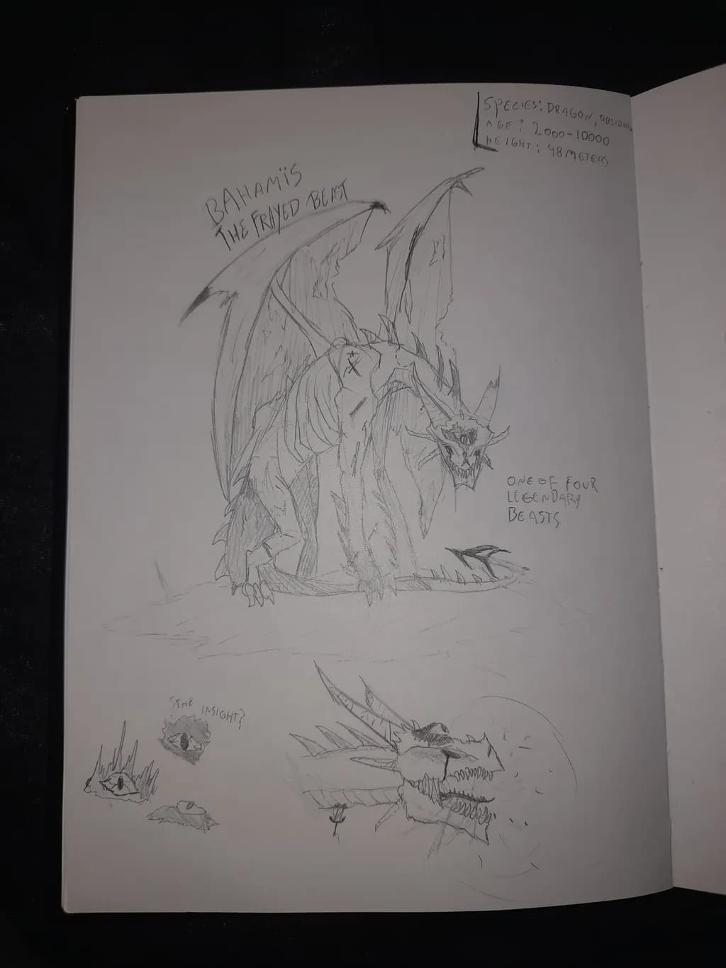 Bahamis the Fried Beast