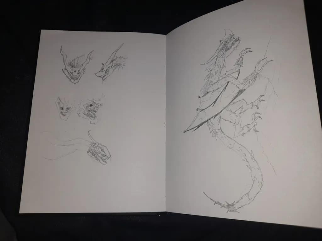 Climbing Dragon Concepts