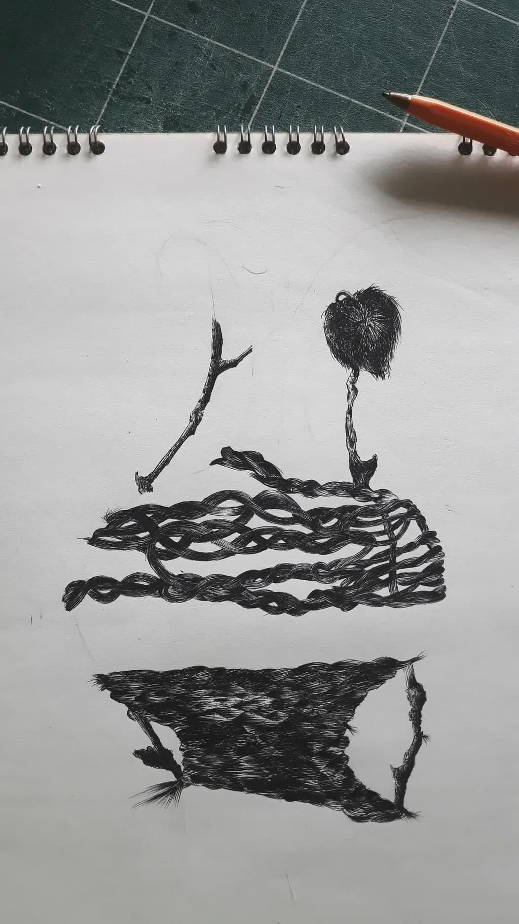 Tangled Forms