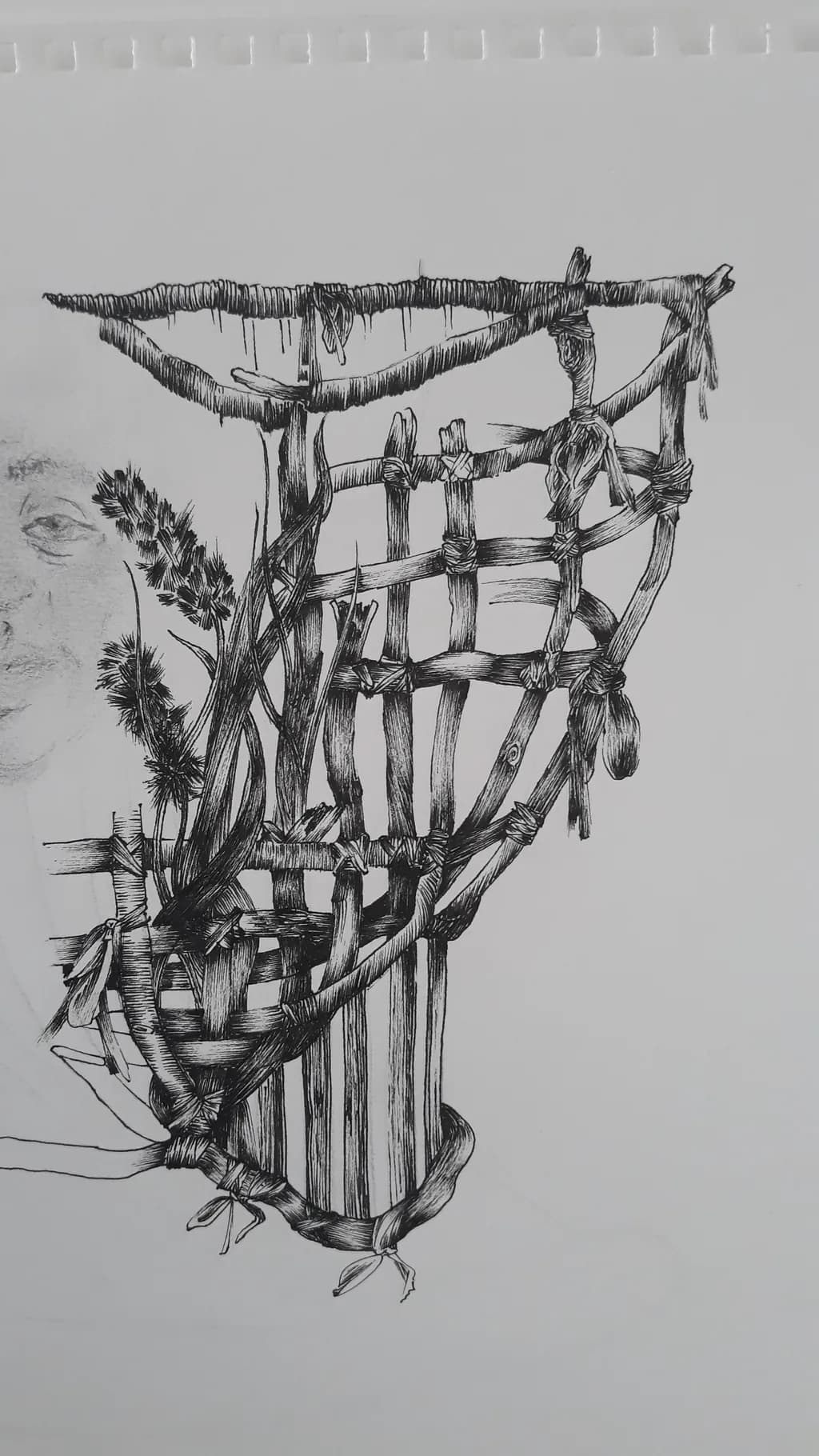 Woven Roots