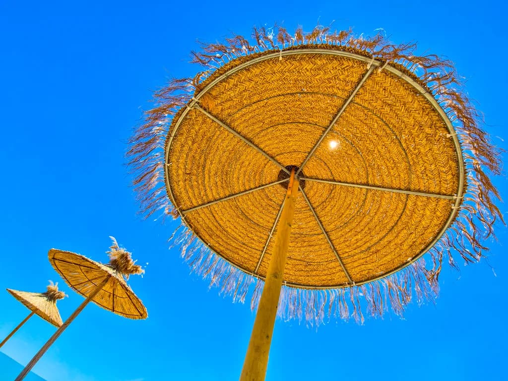 Tropical Canopy