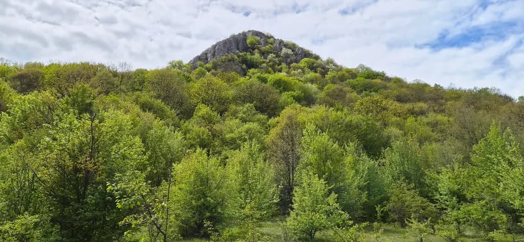 Verdant Summit