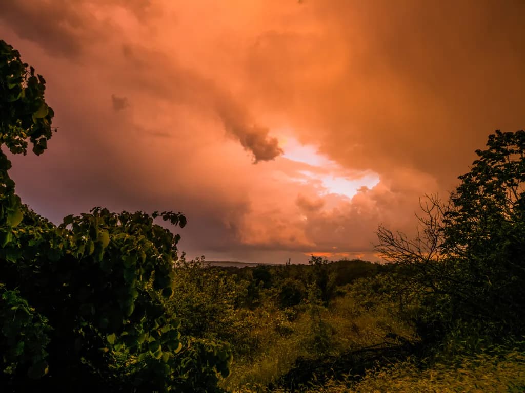 Rust Horizon