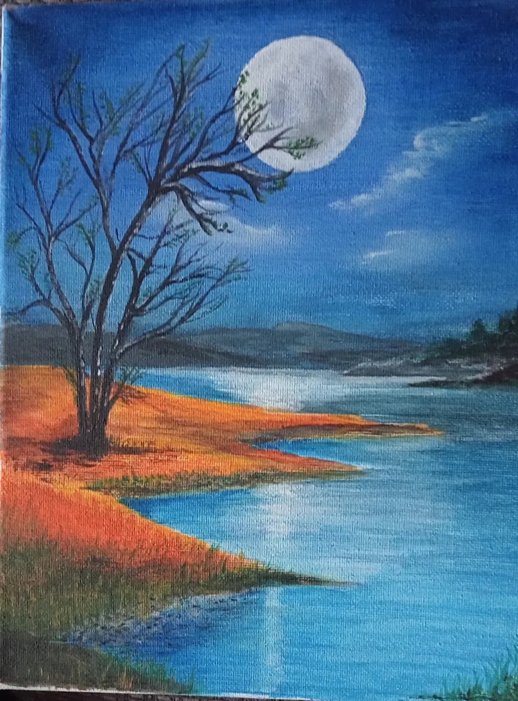 Moonlit Shoreline