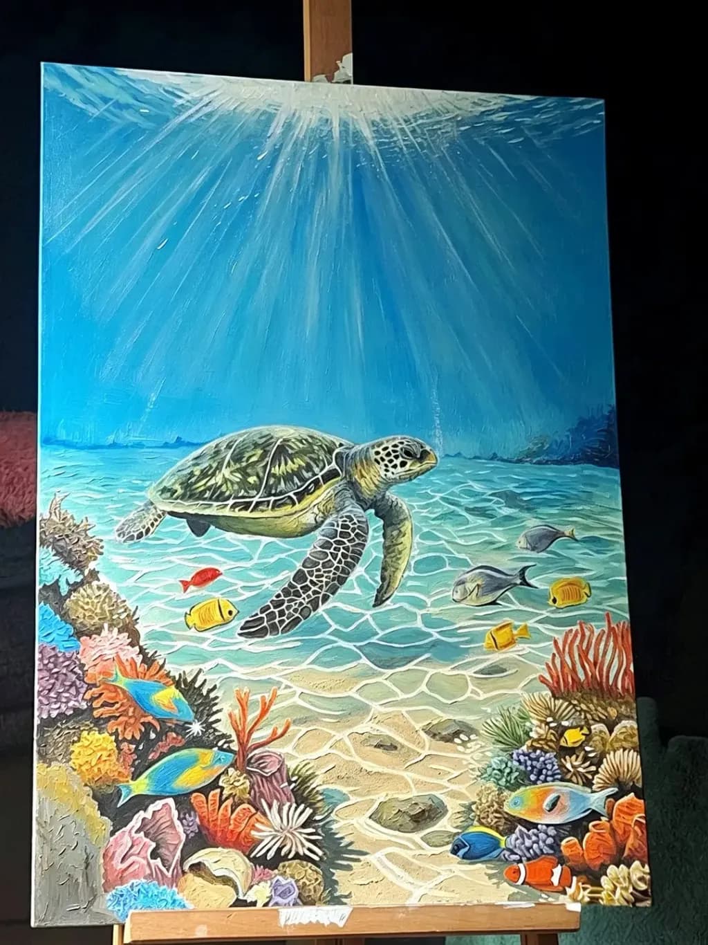 Ocean's Journey