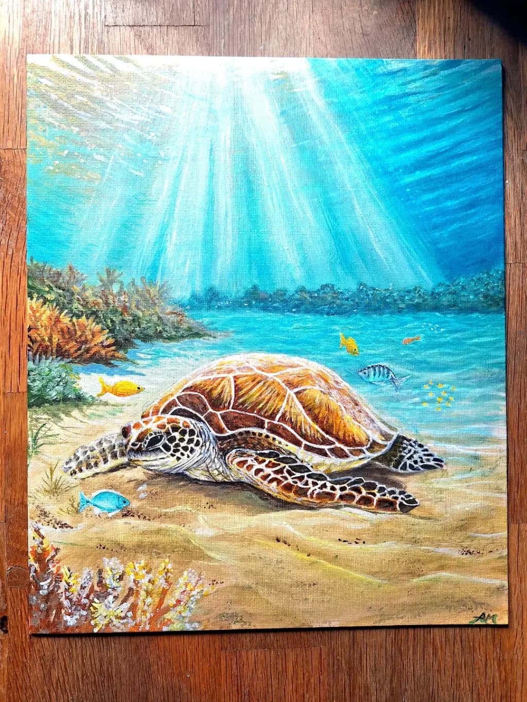 Sunlit Reef Rest