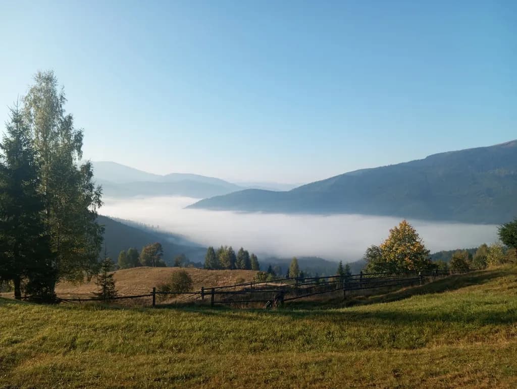 Misty Valley Dawn