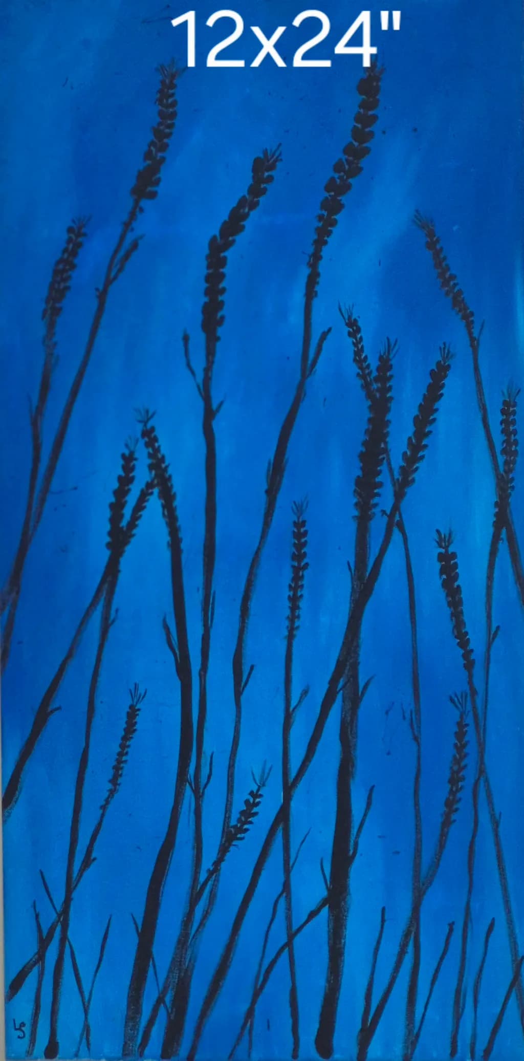 Midnight Reeds