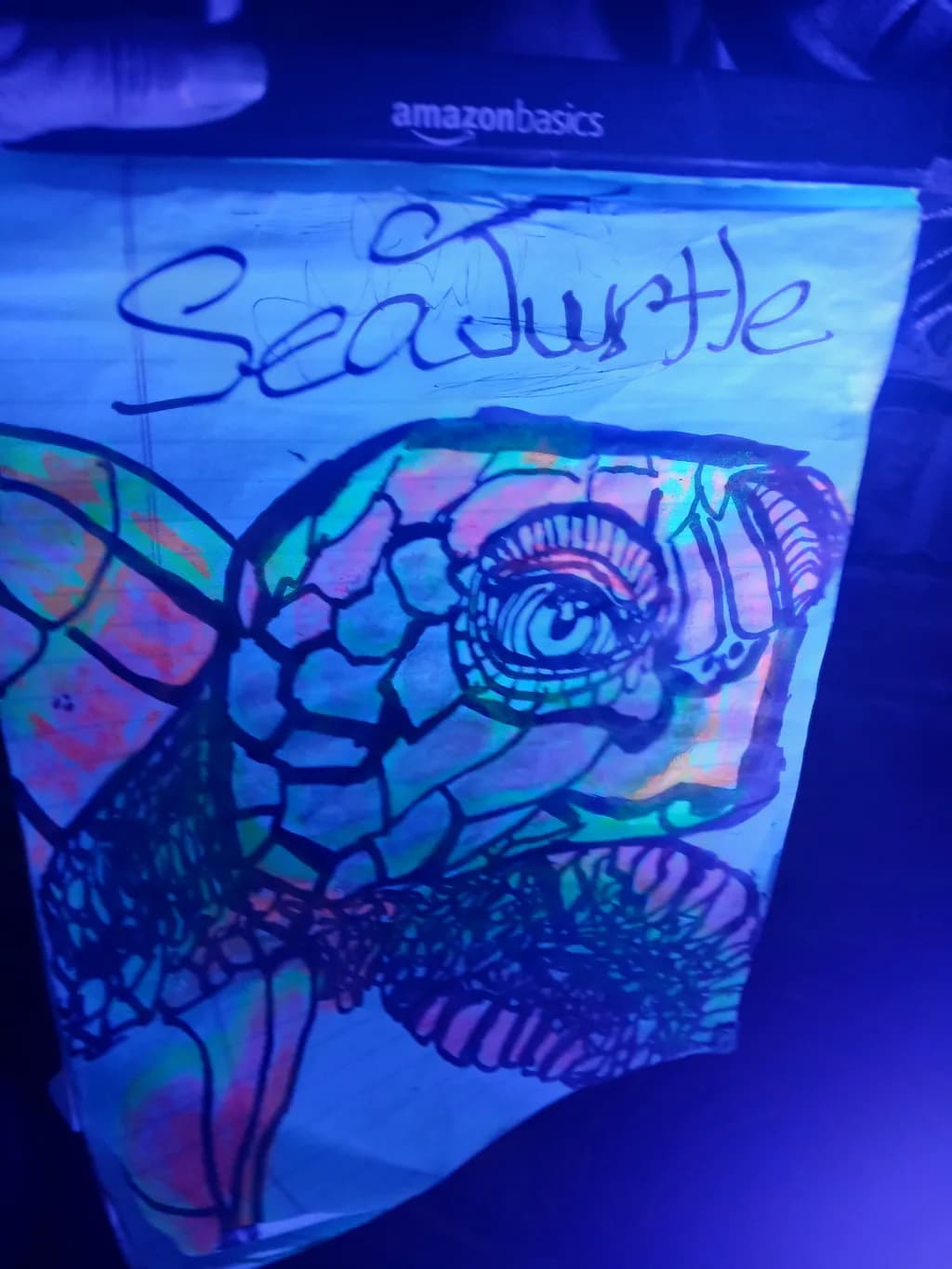 Sea Turtle Glow