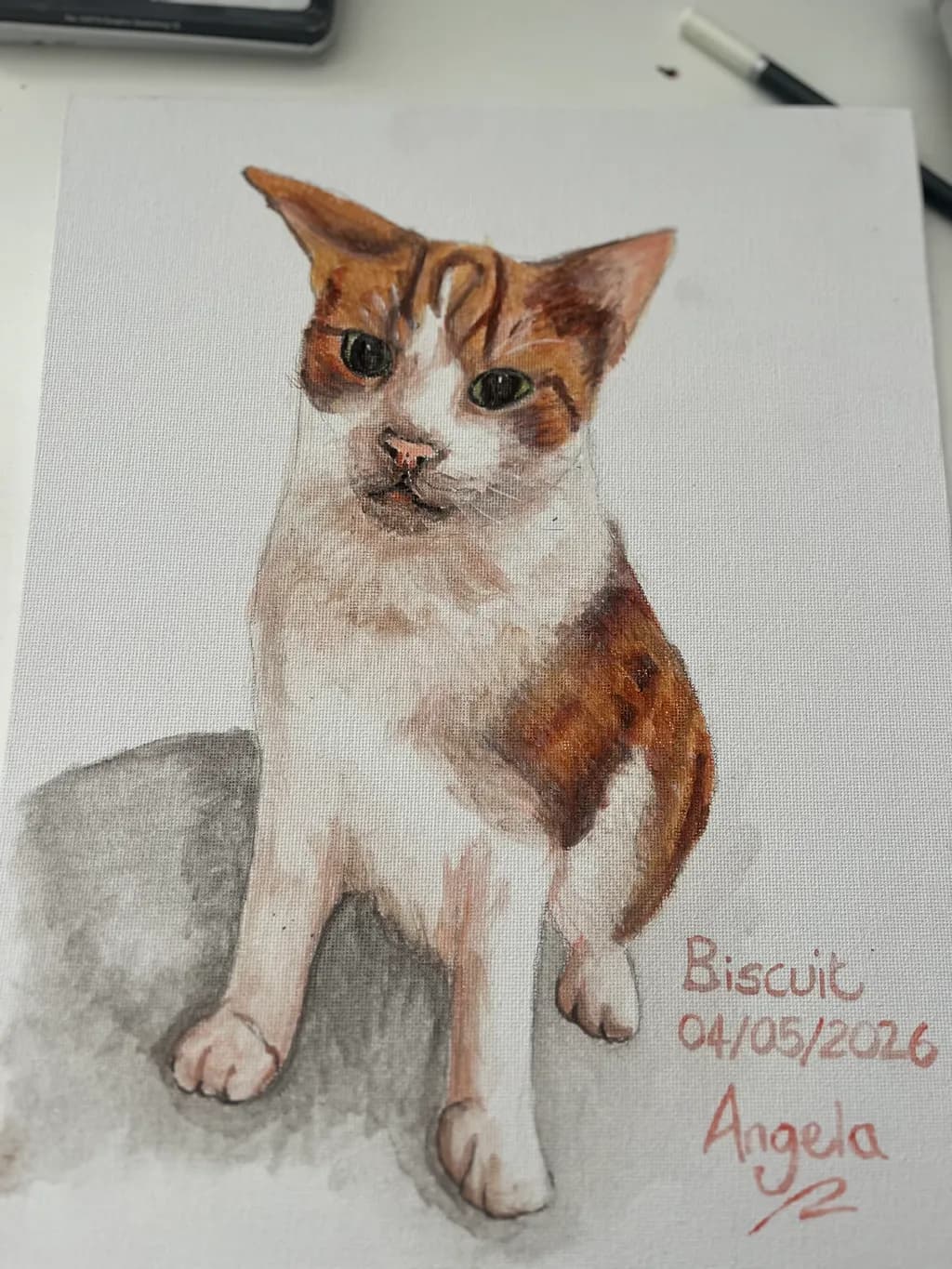 Biscuit Portrait