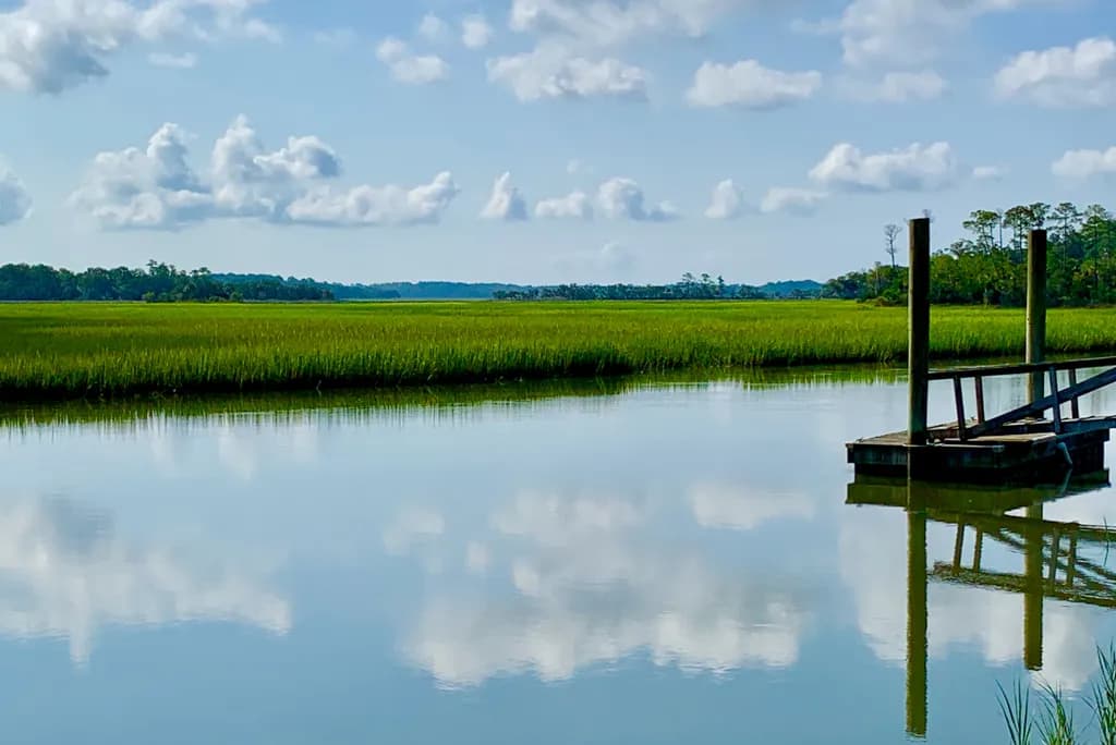 Marshland Reflections