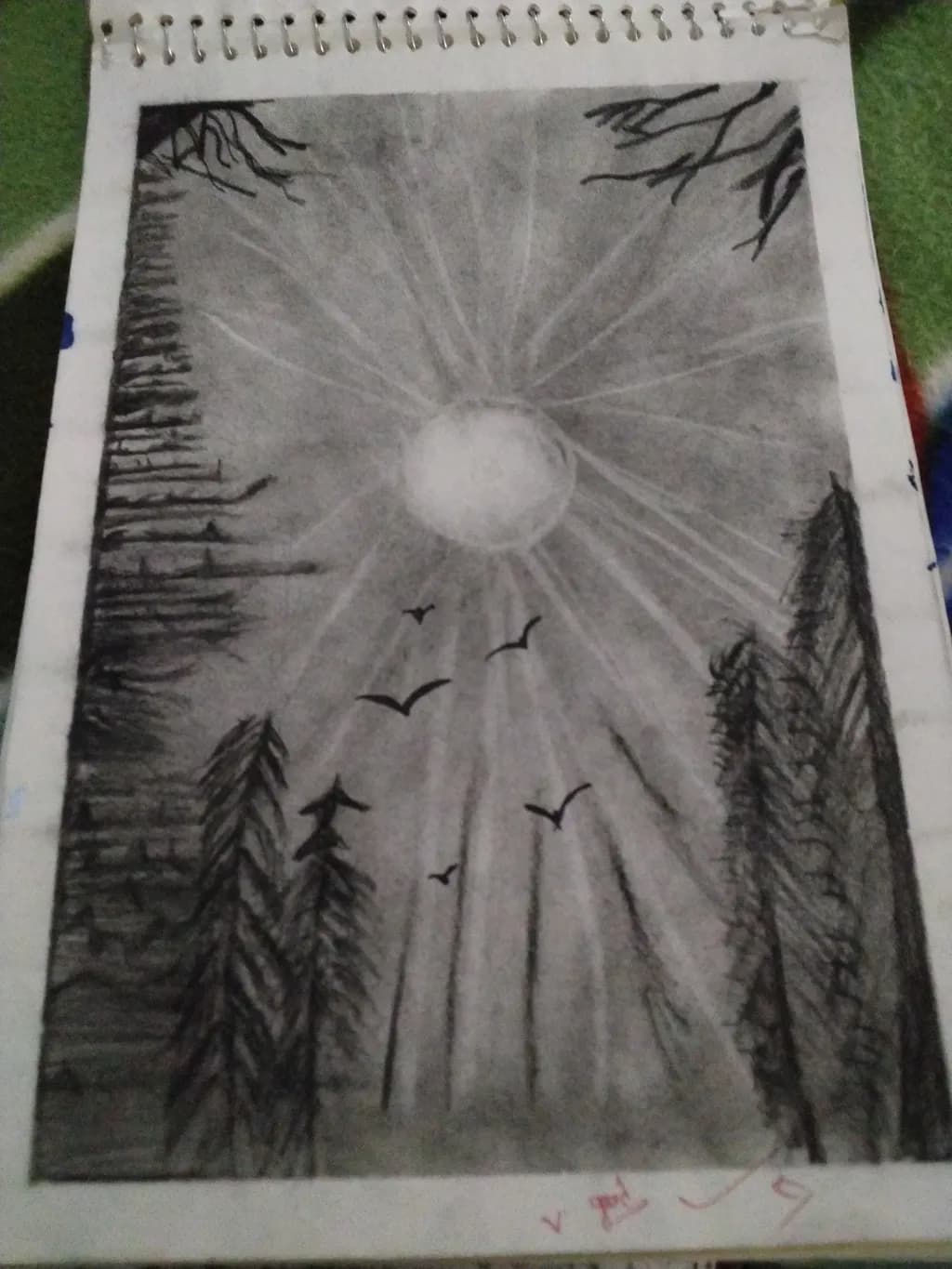 Sunlit Flight