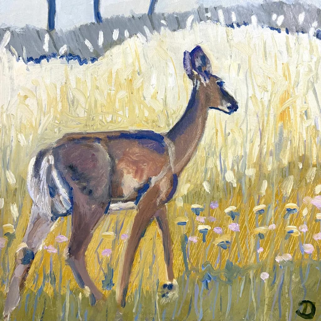 Field Wanderer