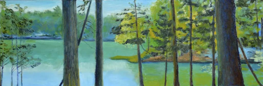 Forest Lake Reflection