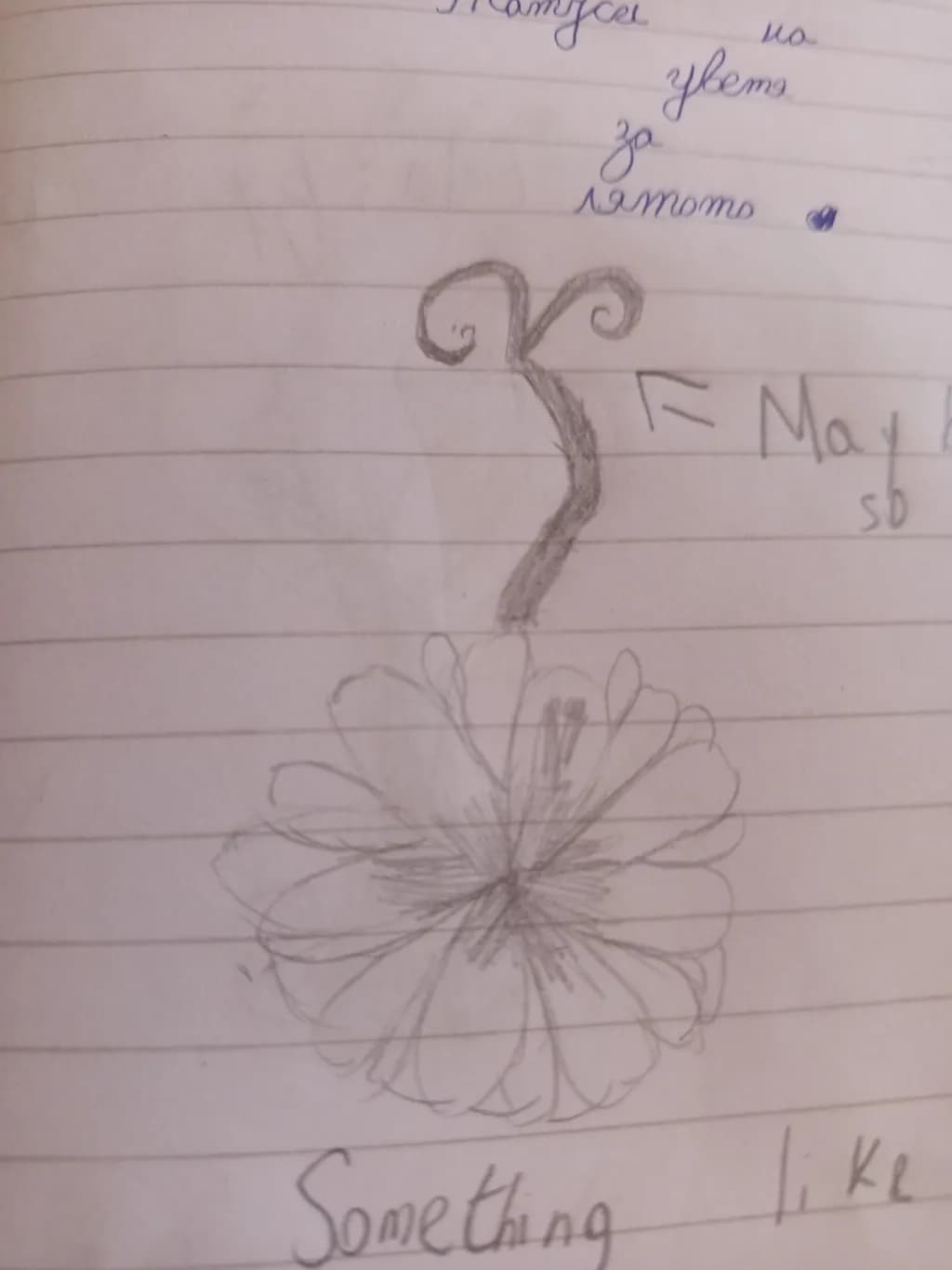 Unfurling Bloom