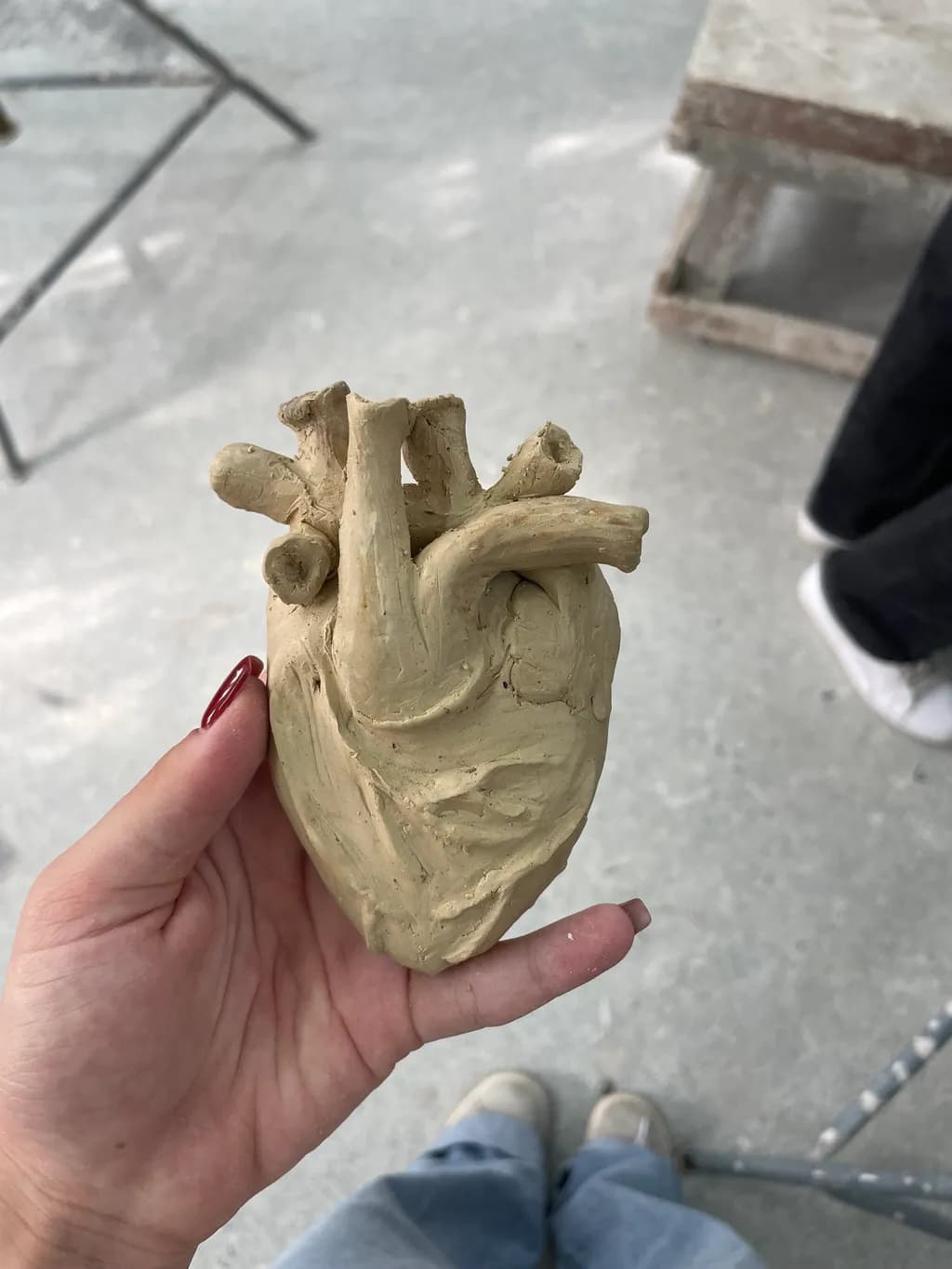Clay Heart Anatomy