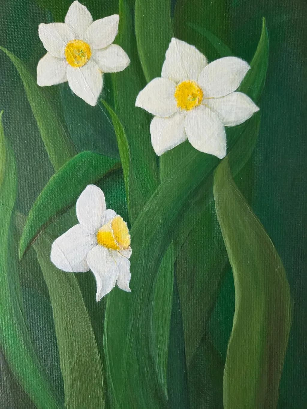 Daffodils in Green
