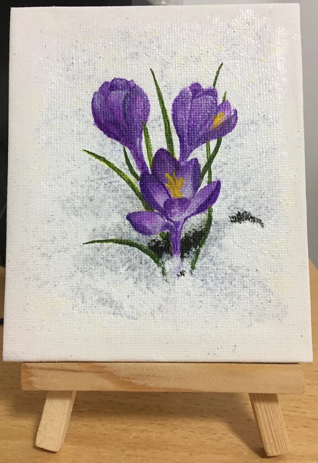 Purple Crocus Bloom
