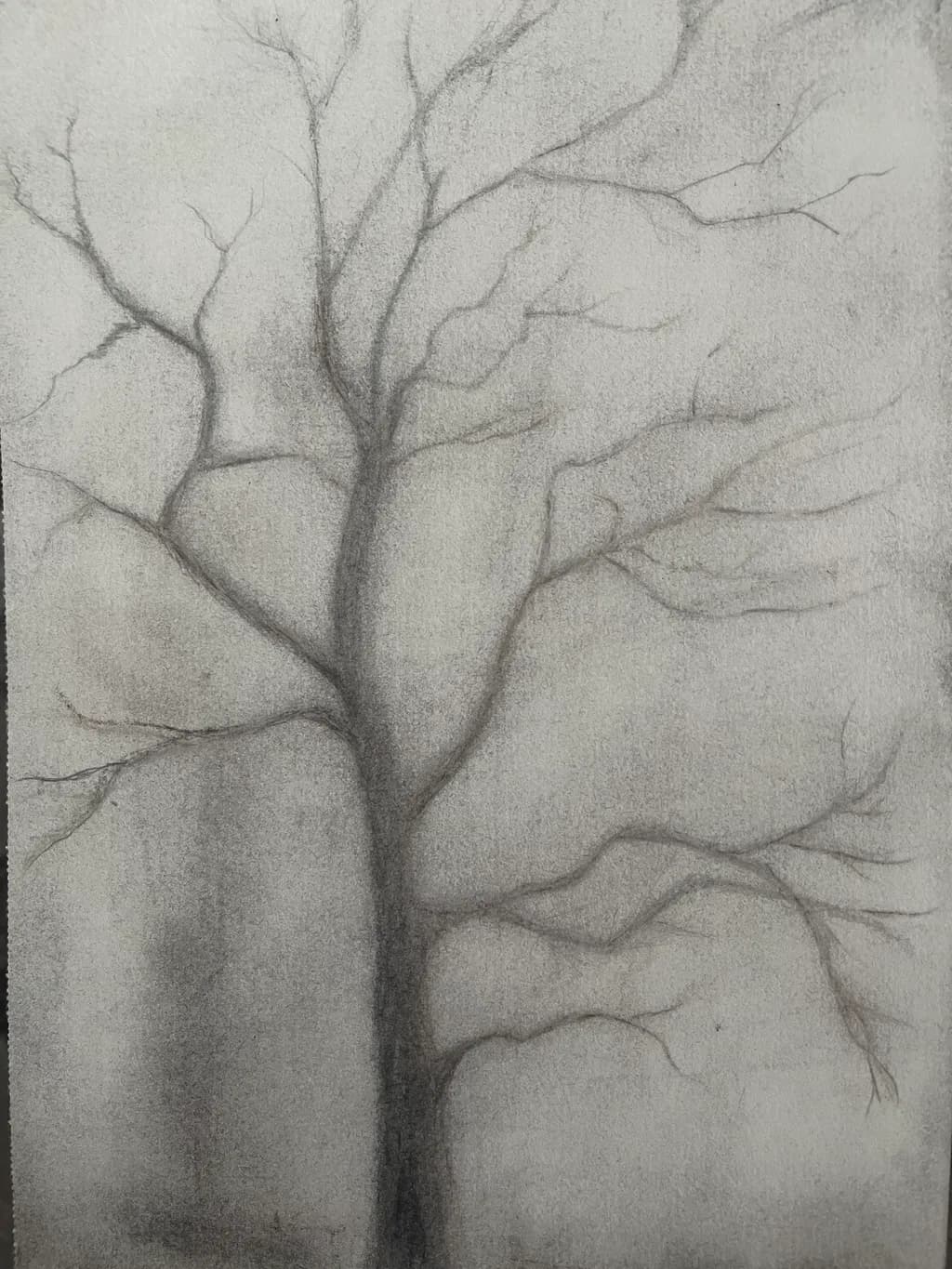 Bare Branches