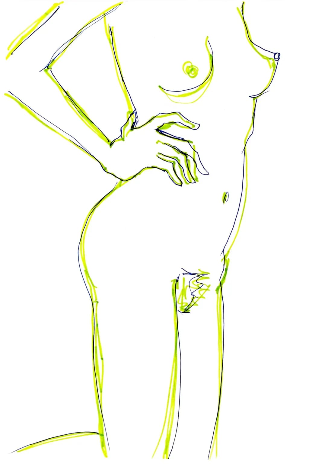 Anima 34