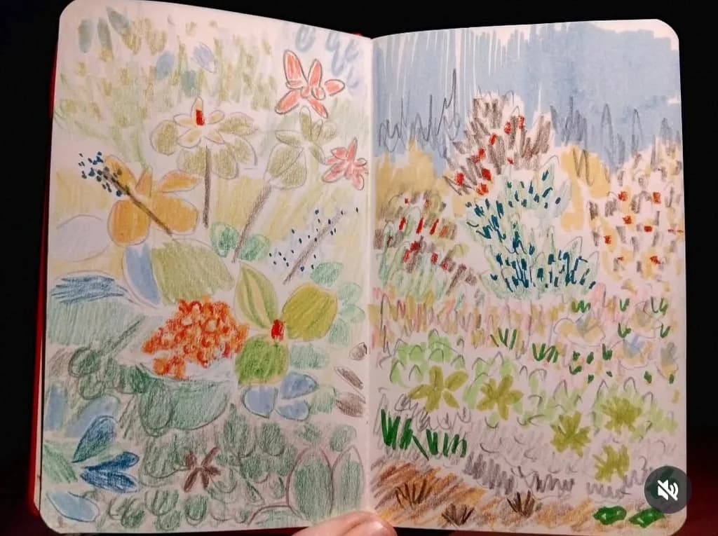 Wild Garden Sketch