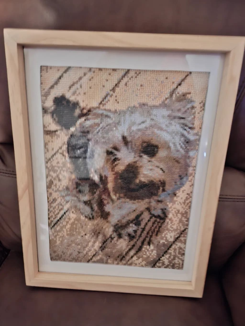 Curious Pup Portrait