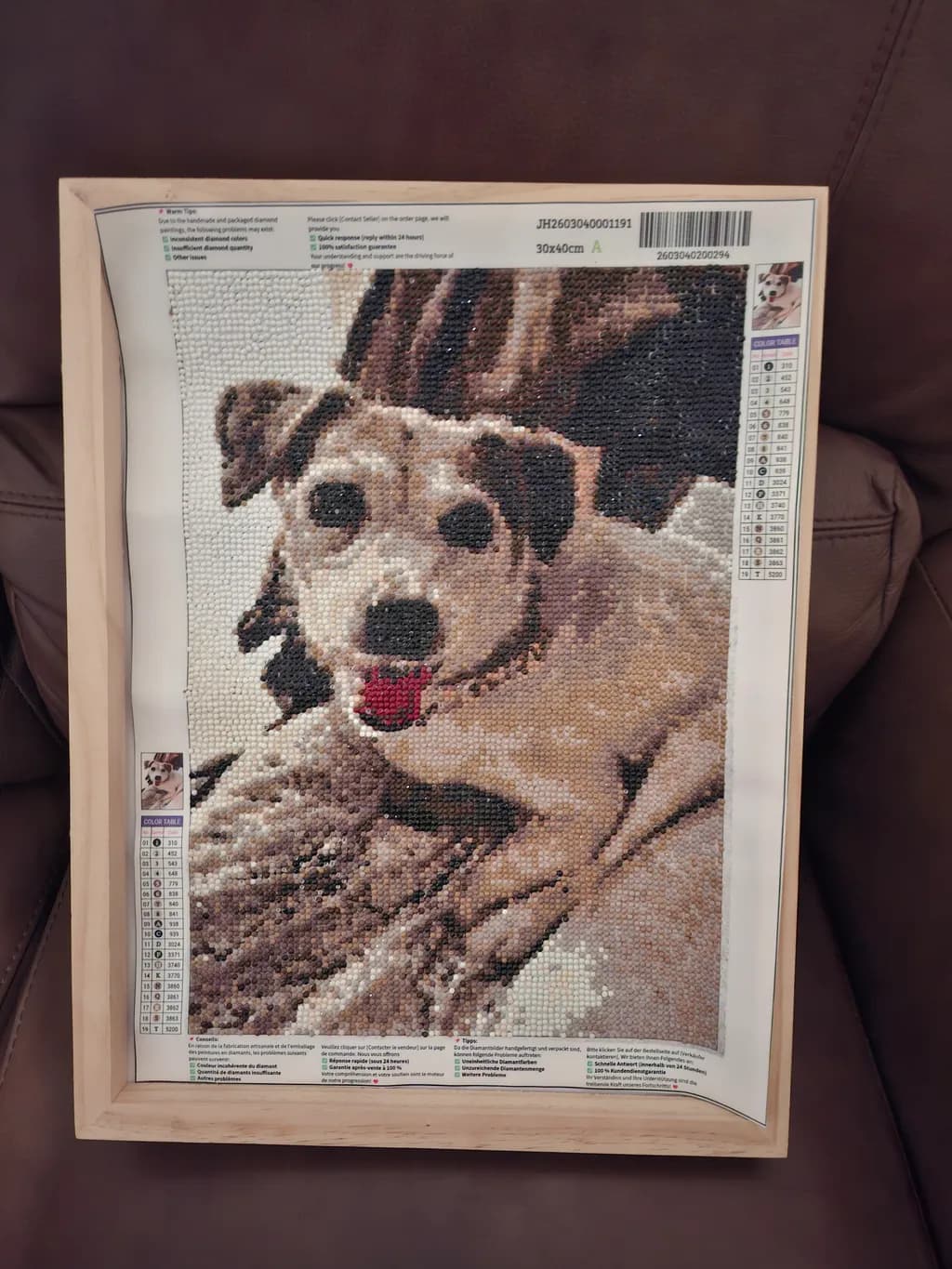 Relaxed Pup