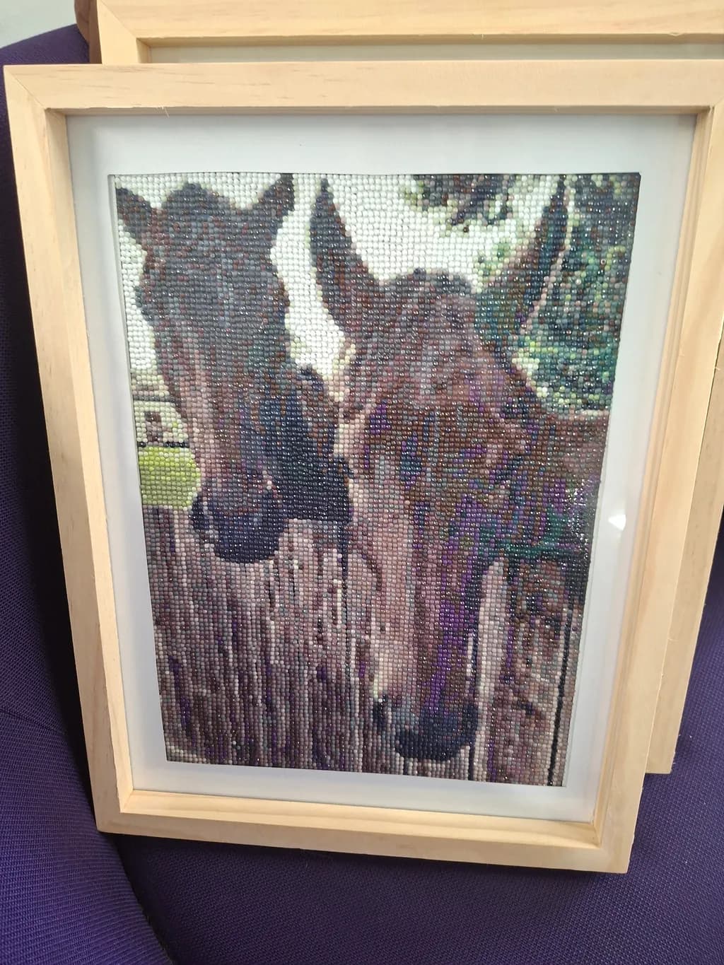 Equine Companions