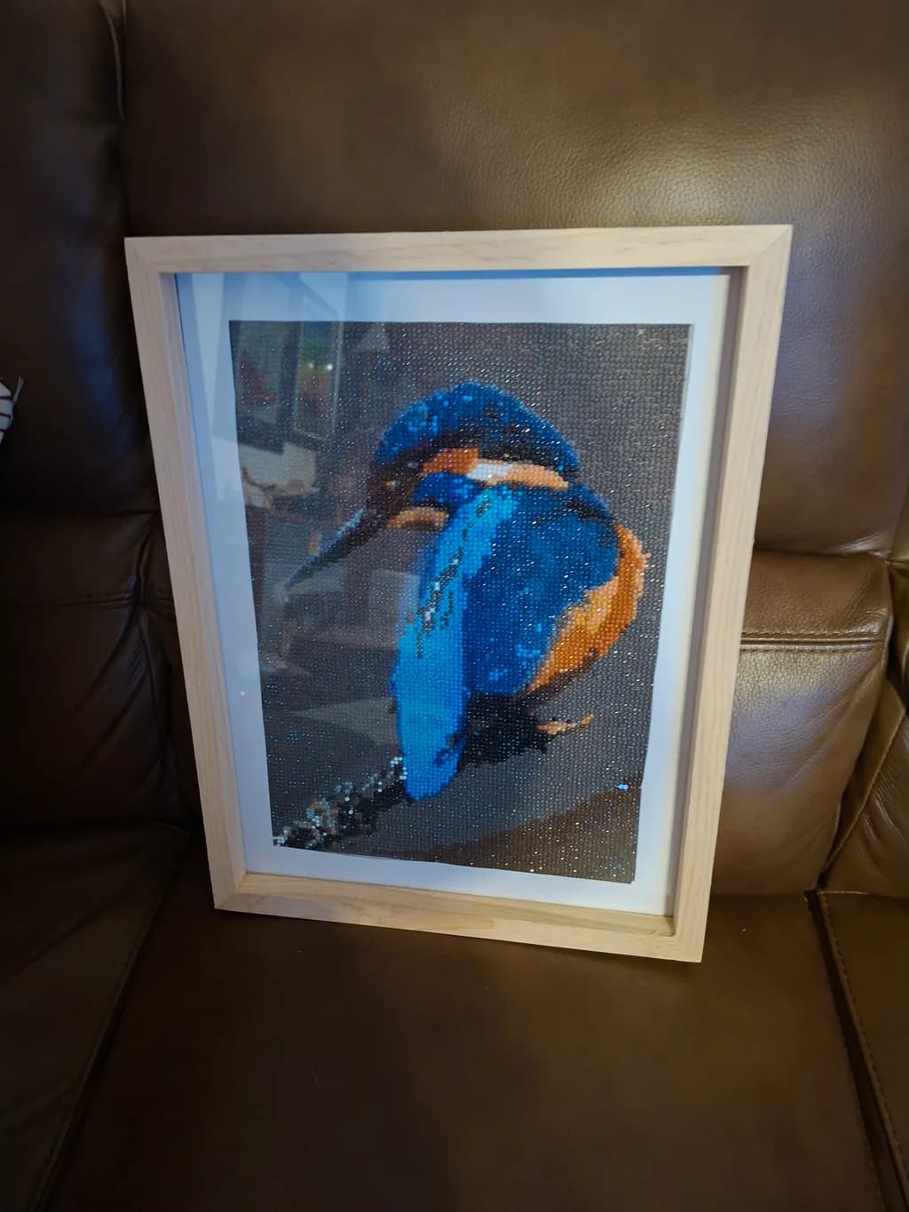 Blue Kingfisher