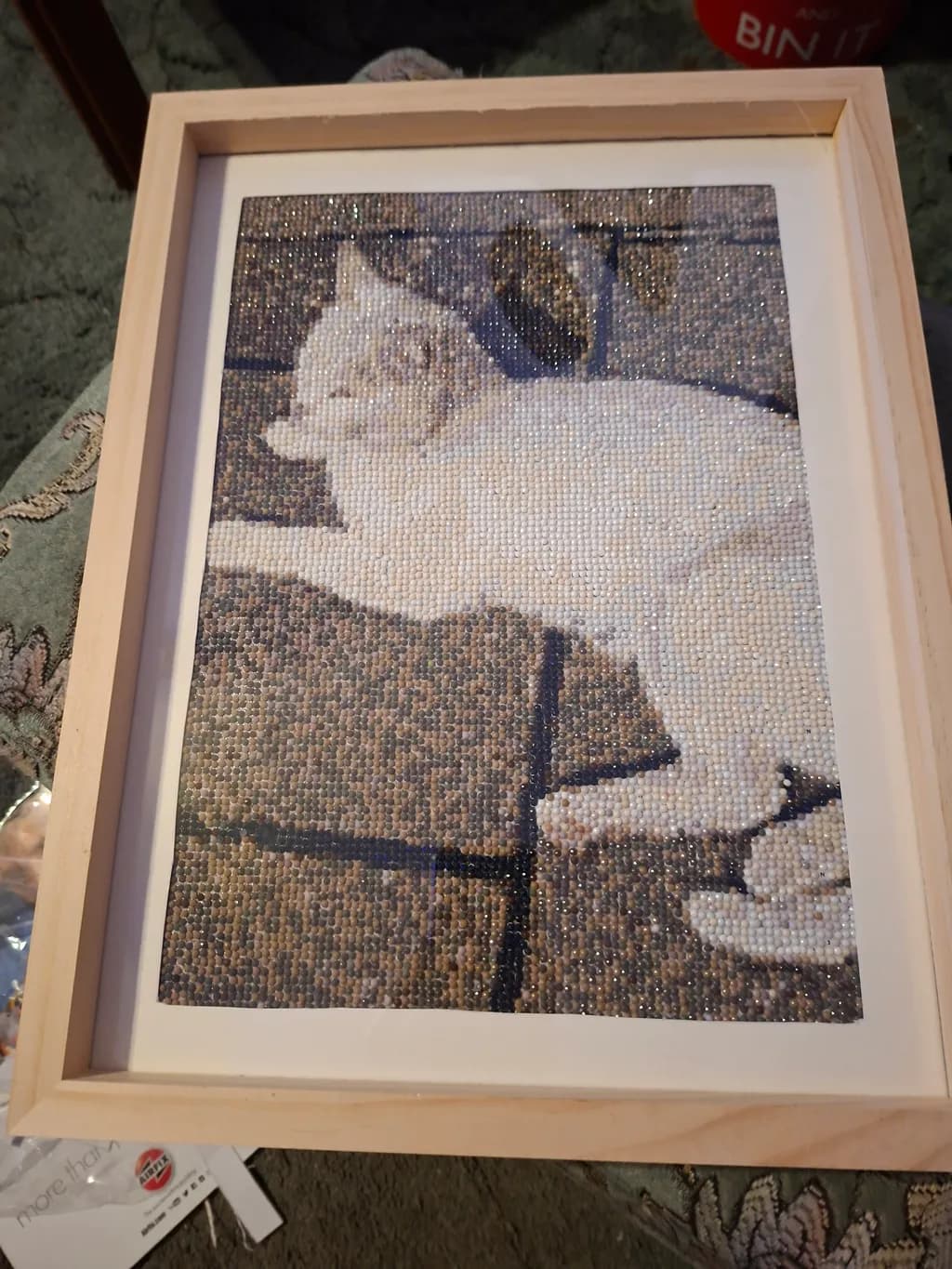 Resting White Cat